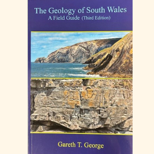 The Geology of South Wales by Gareth T George