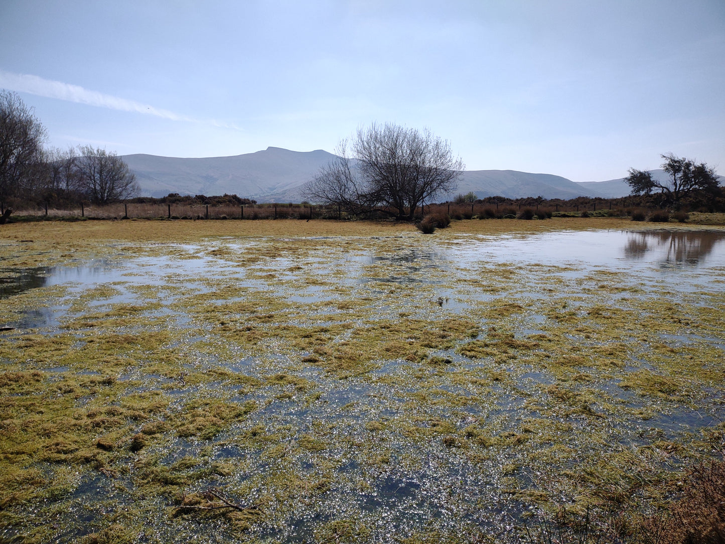 28th September 1.30pm - Bogs, Romans and more Guided walk with Alan Bowring