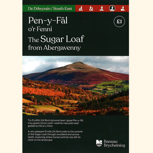 The Sugar Loaf from Abergavenny