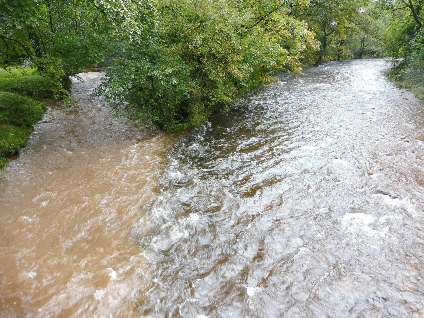 12th October 2025 2.00pm - Wealth of Water Guided Walk with Alan Bowring